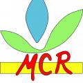 Mcr logo